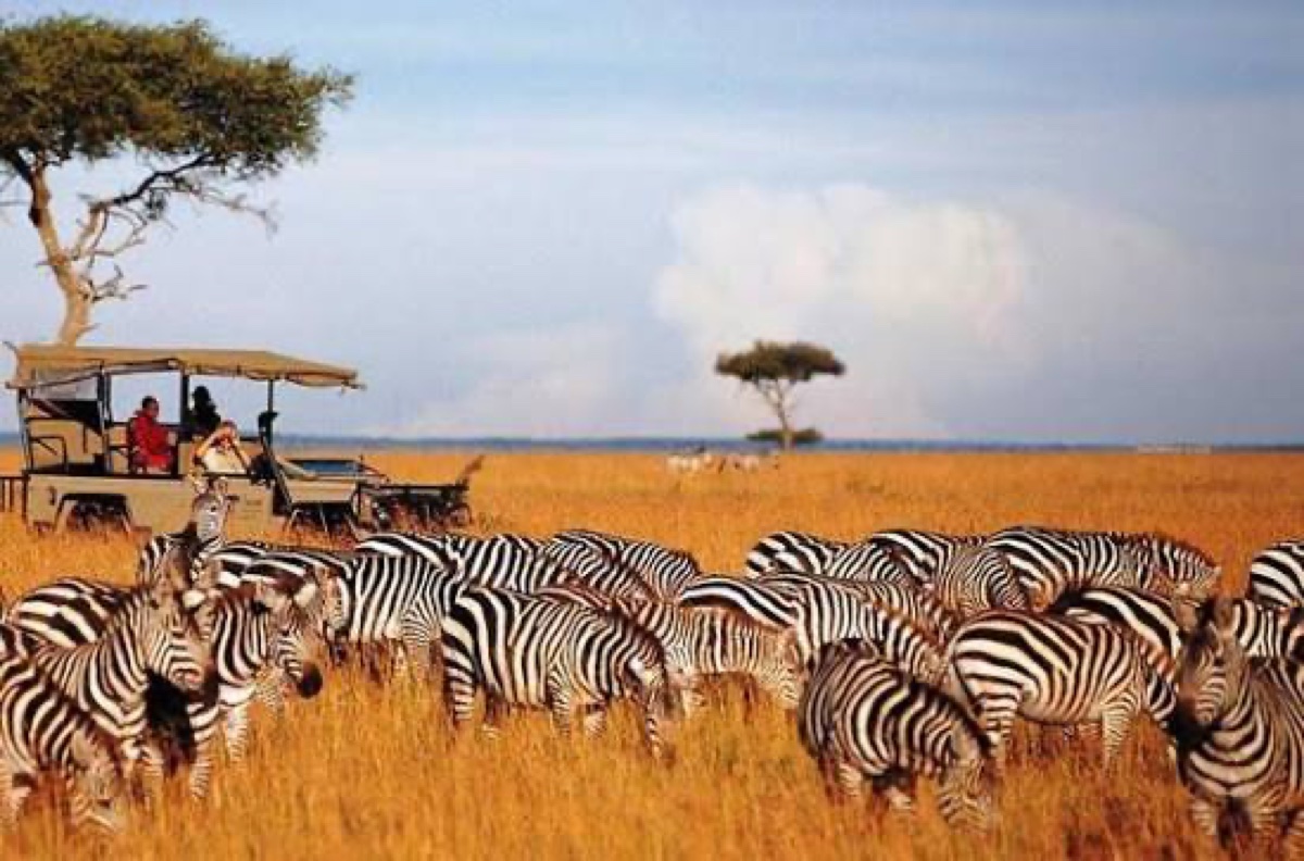 Kenyan Game Reserves